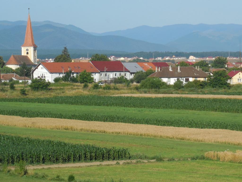 Отель Vila Bel Ami Шелимбэр Номер фото